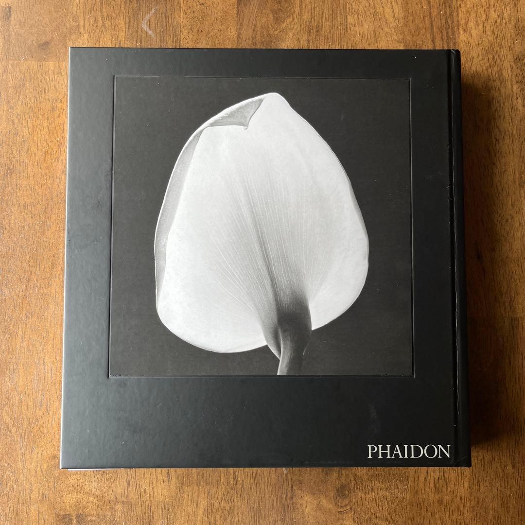 Robert Mapplethorpe / ロバート・メイプルソープ 花◆洋書