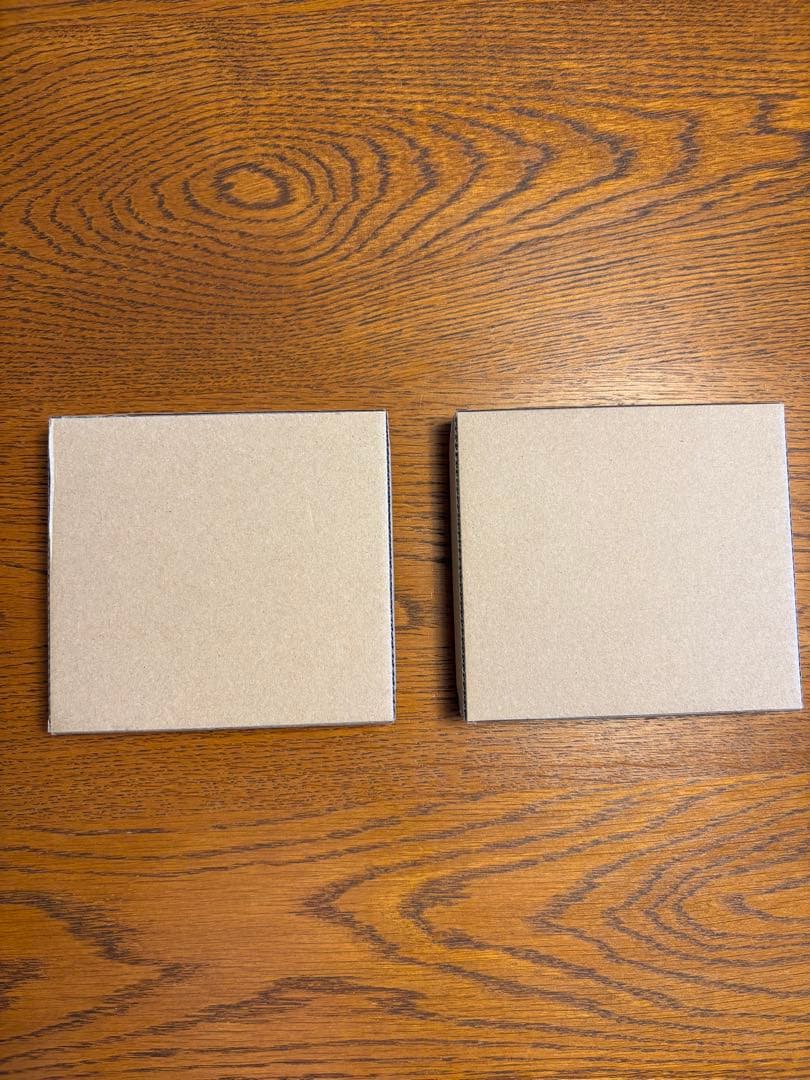 ◉新品未使用◉ 鹿児島睦　ネコと花のプレート２枚　箱付