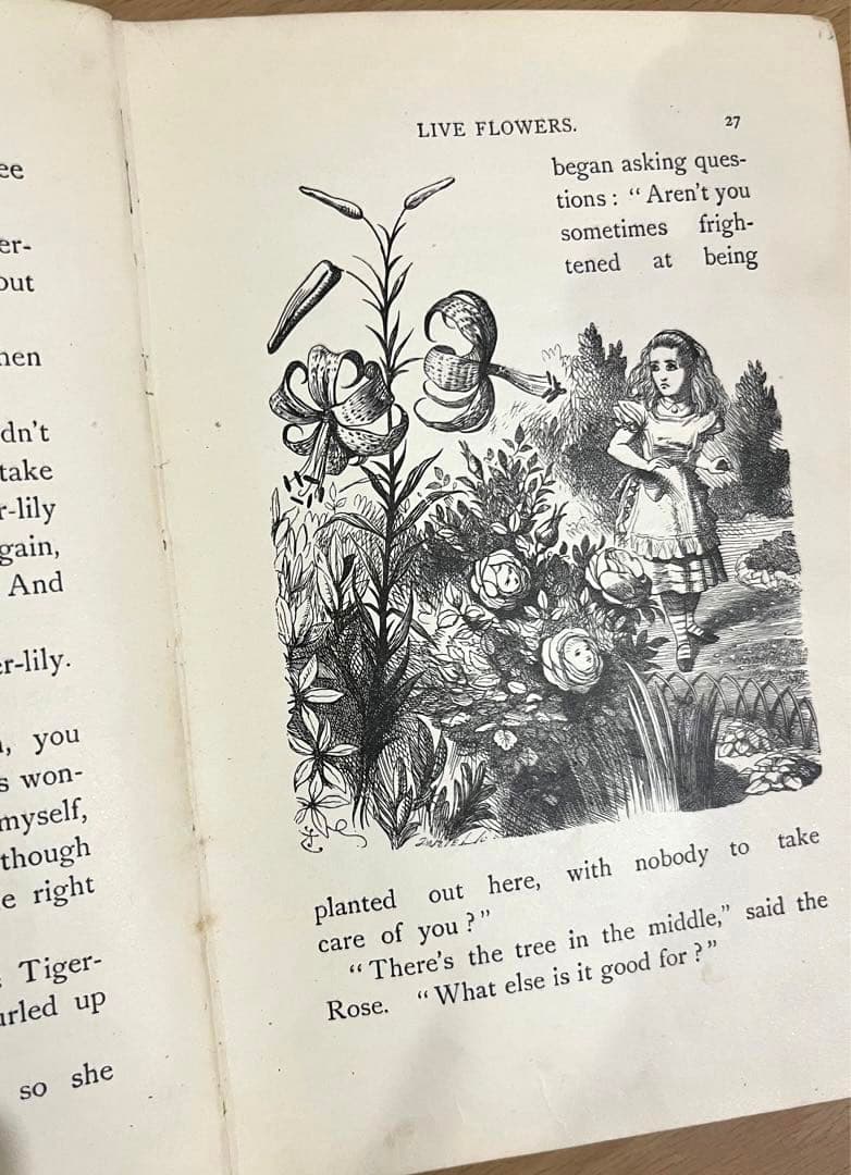 No.113 古書 洋書 アンティーク 不思議の国のアリス・鏡の国のアリス