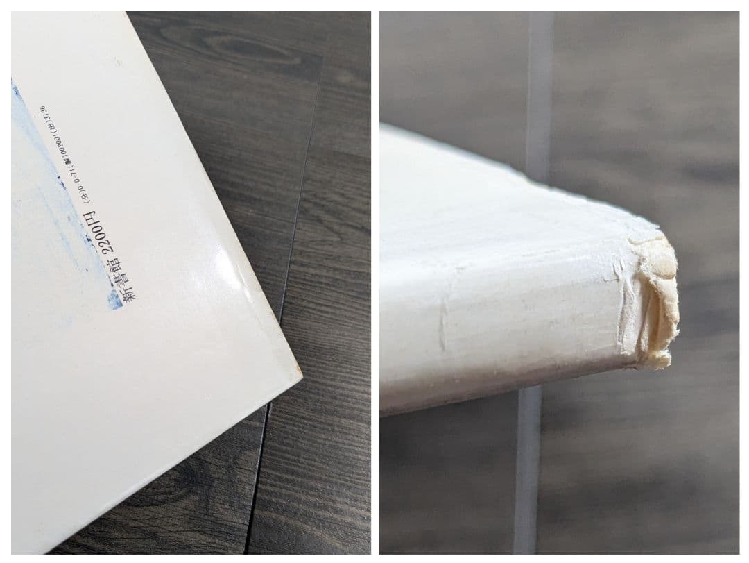 猫の絵本 ネ・コラージュ (Né Collage)　絵と文・山城隆一