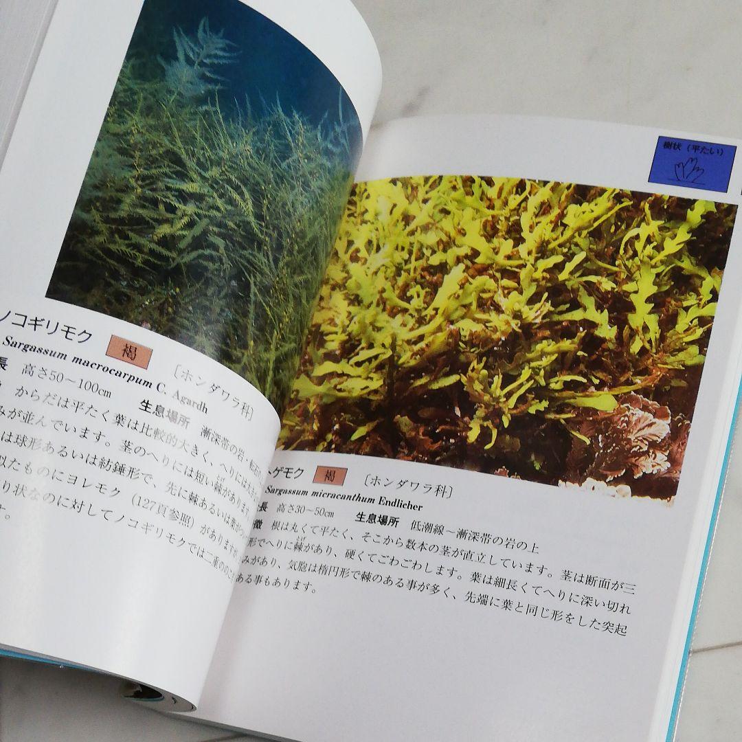 沖縄海中生物図鑑　全巻（11冊）セット。