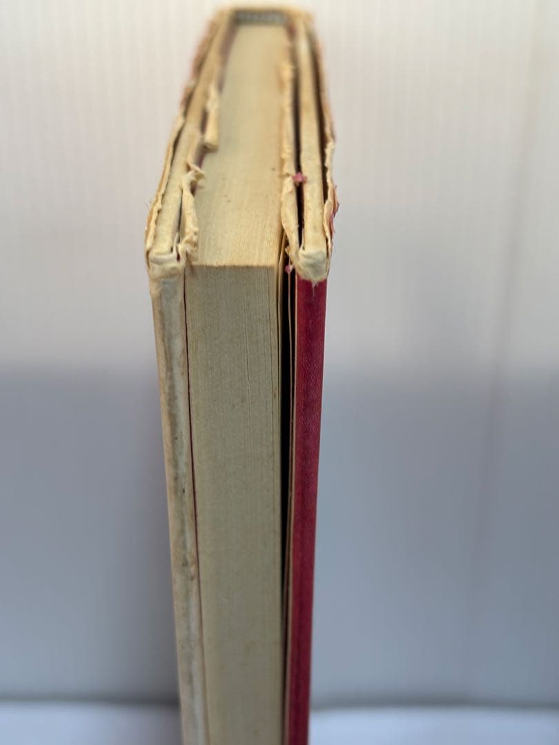 桃色の地図 清水正二郎