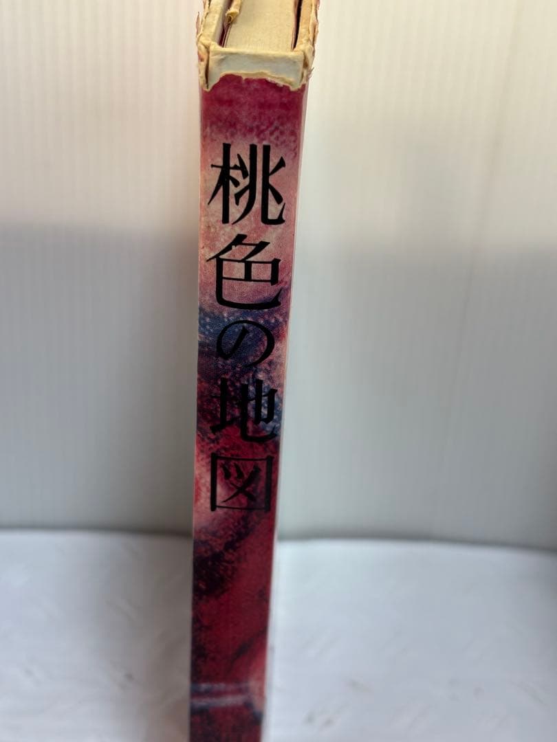 桃色の地図 清水正二郎