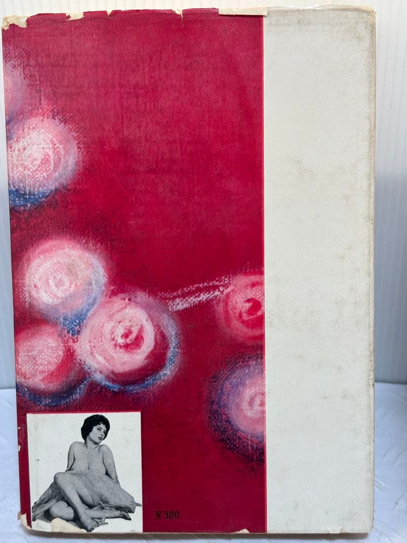 桃色の地図 清水正二郎