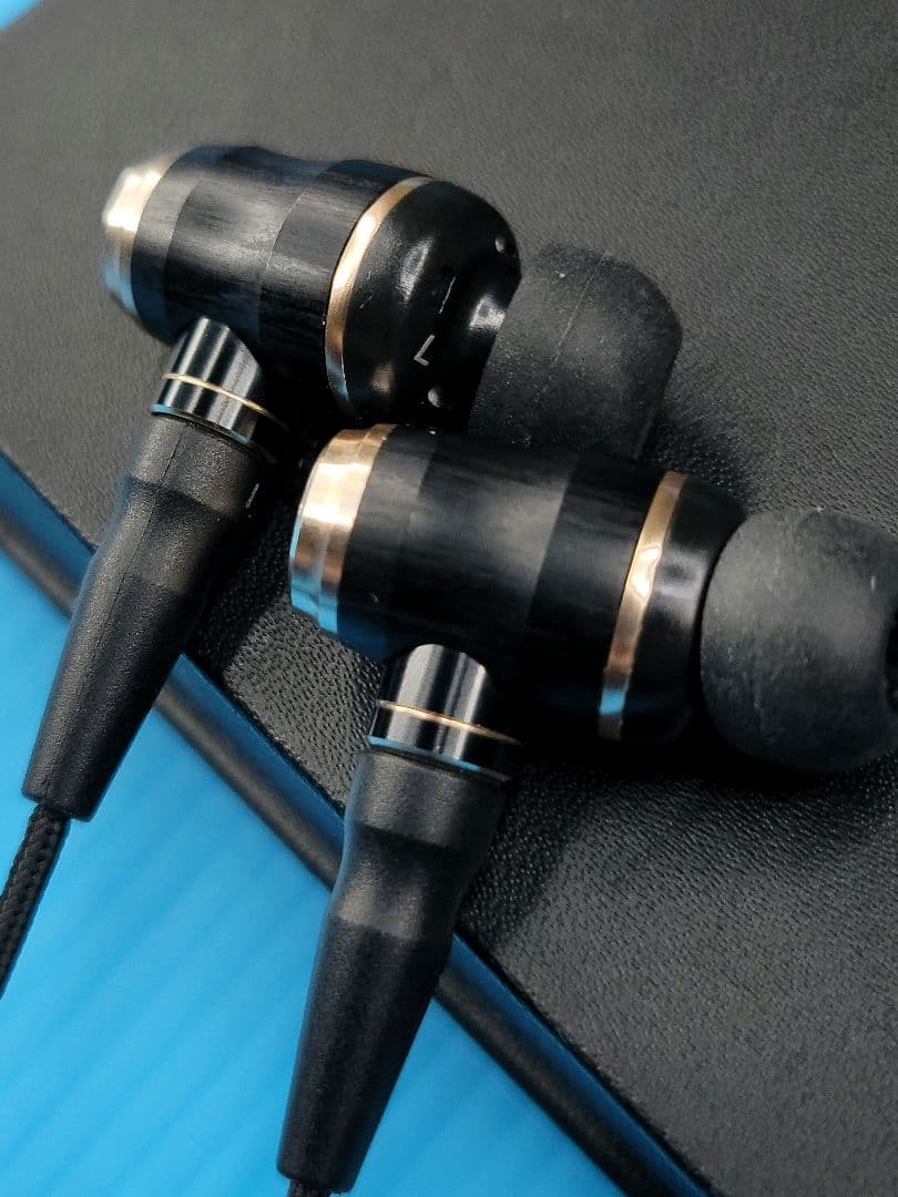 イヤホン JVC HA-FX1100 WOOD UNIT and HOUSING.