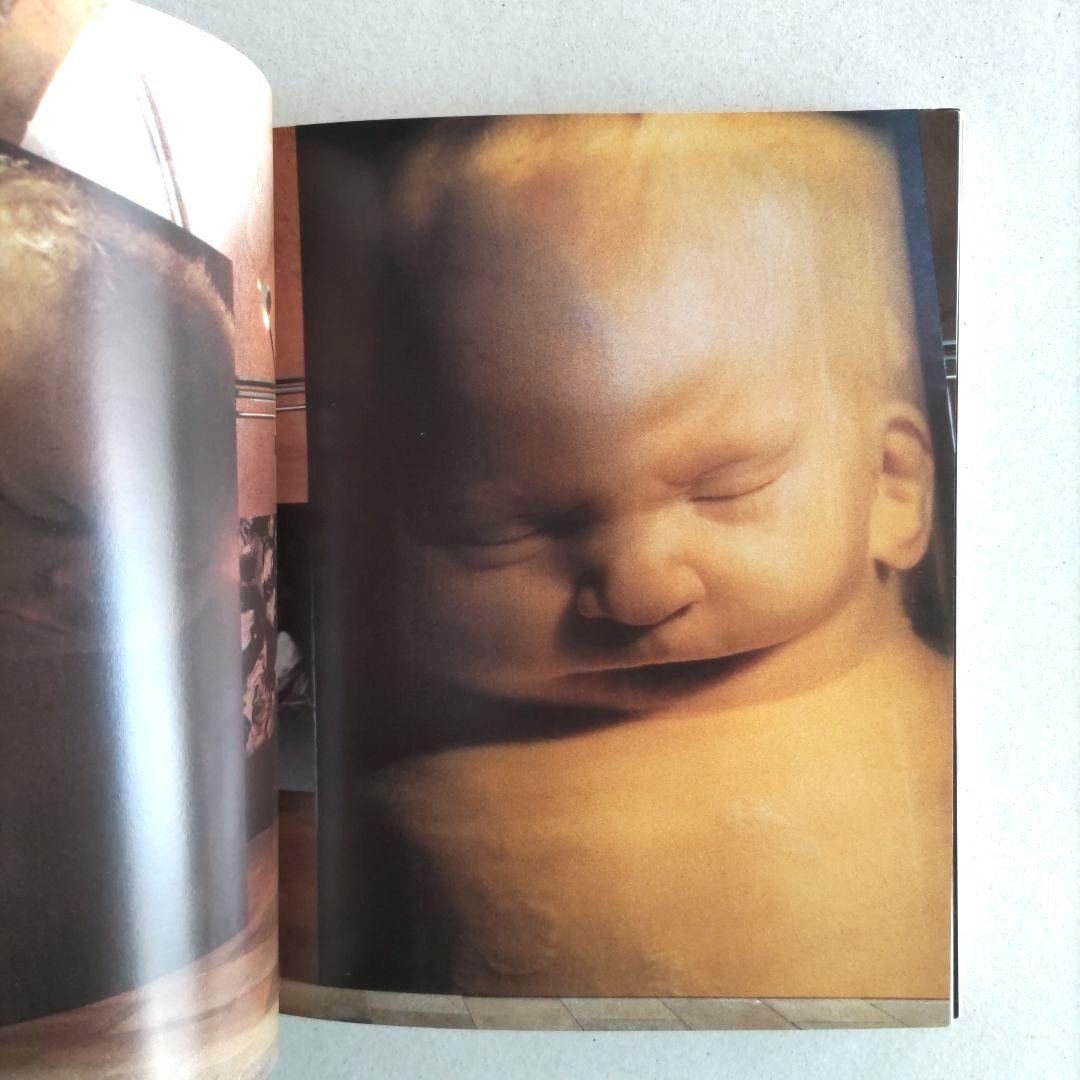 【希少】TANK Magazine ＃6/ファション アート 写真 イラスト