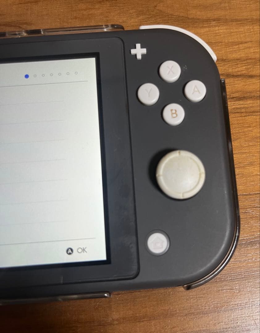 Nintendo Switch Lite グレー ポケモンバイオレット スプラ