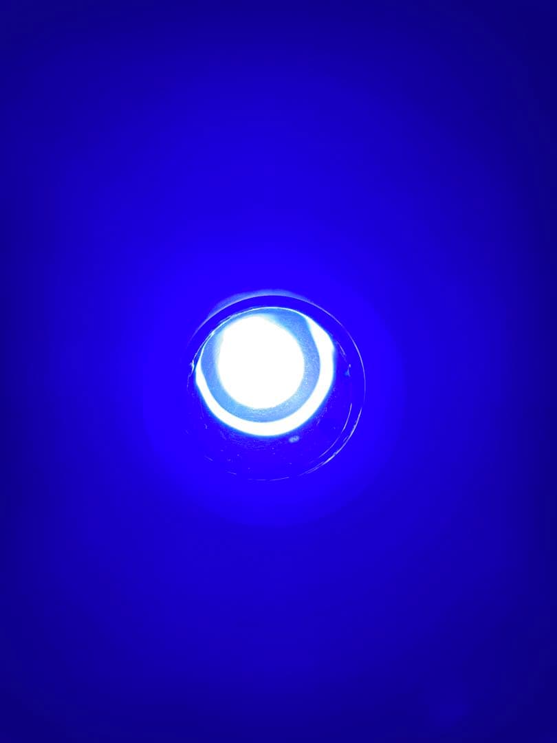 ZOOX ActinicRAYS LEDソケットセット