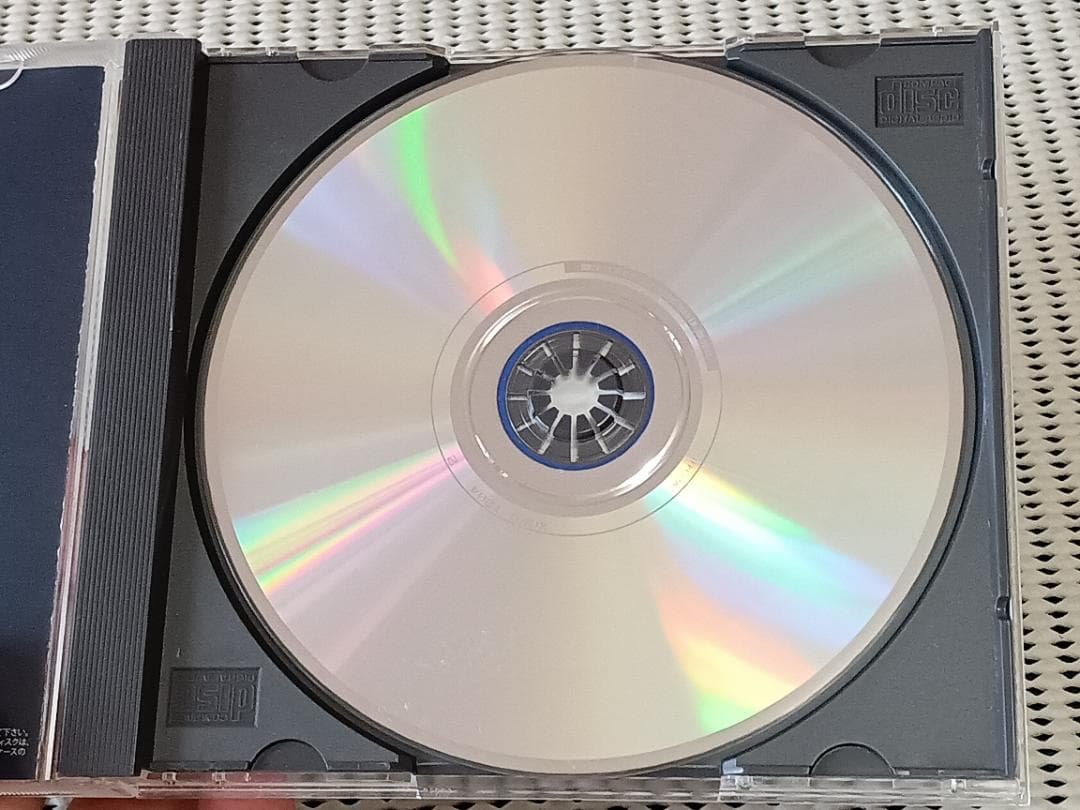 邦楽 BLUE ENCOUNT beginning of the beginning