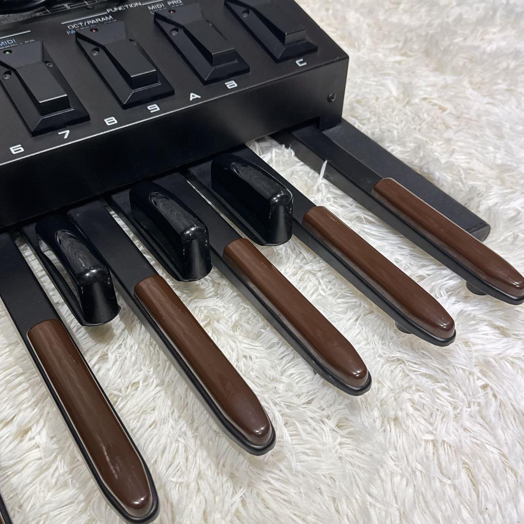 Roland PK-5 Dynamic MIDI Pedal ペダル 13鍵盤