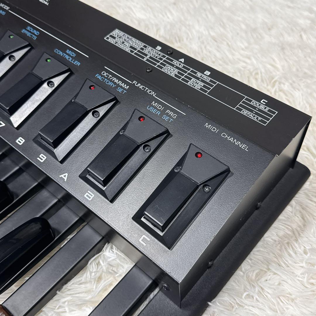 Roland PK-5 Dynamic MIDI Pedal ペダル 13鍵盤