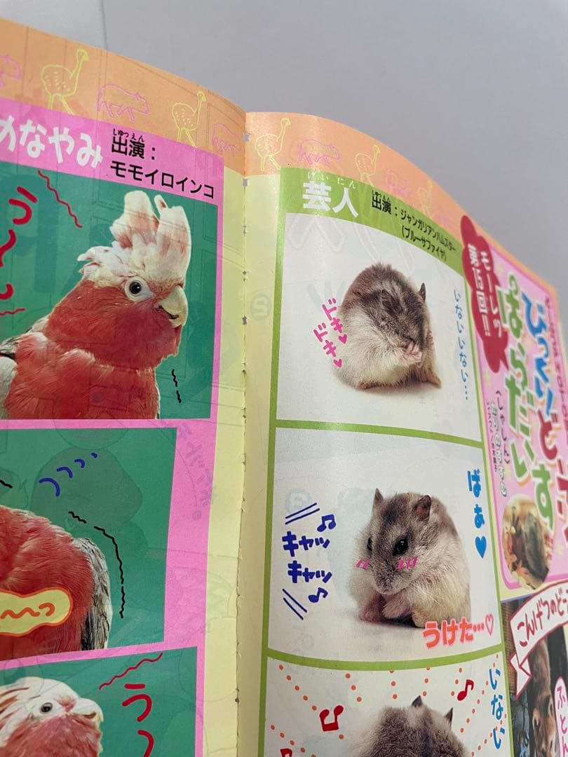 漫画　 Pi Pi Piアドベンチャー　ちゃお　切抜き　1999年　コダック