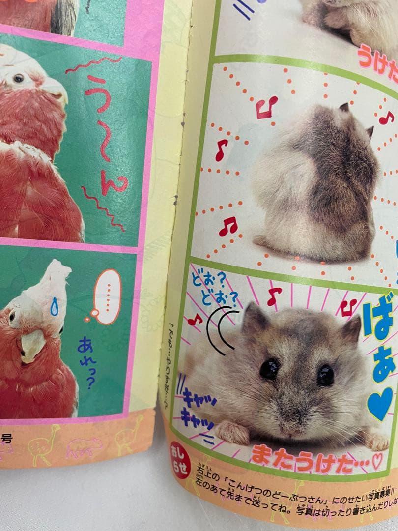 漫画　 Pi Pi Piアドベンチャー　ちゃお　切抜き　1999年　コダック