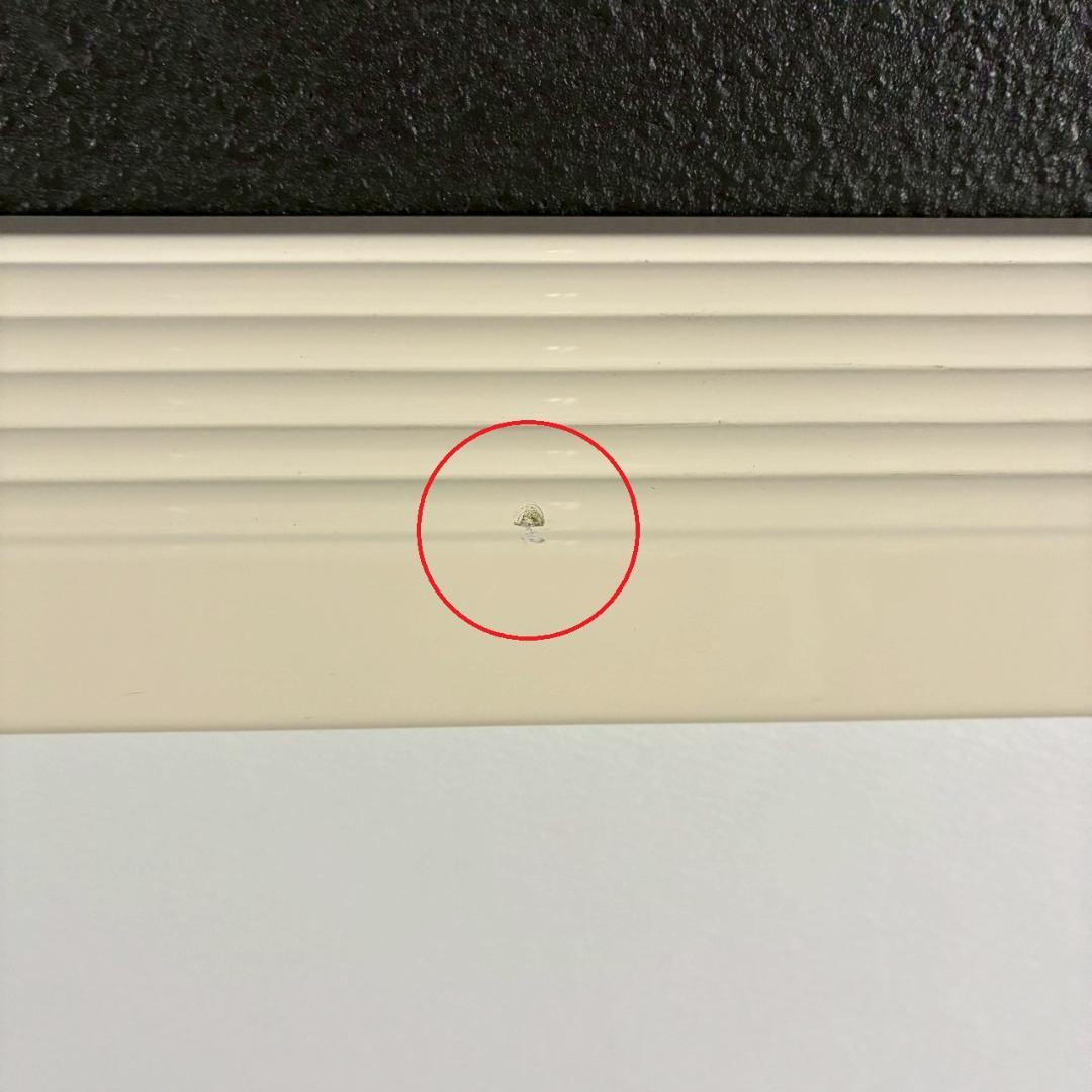 美品 藤城清治「こびとの楽園」レフグラフ 直筆サイン保証書有 影絵作家 メルヘン