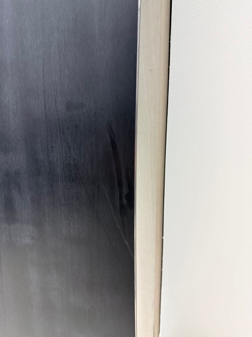 20周年記念モデル gentemstick mantaray154