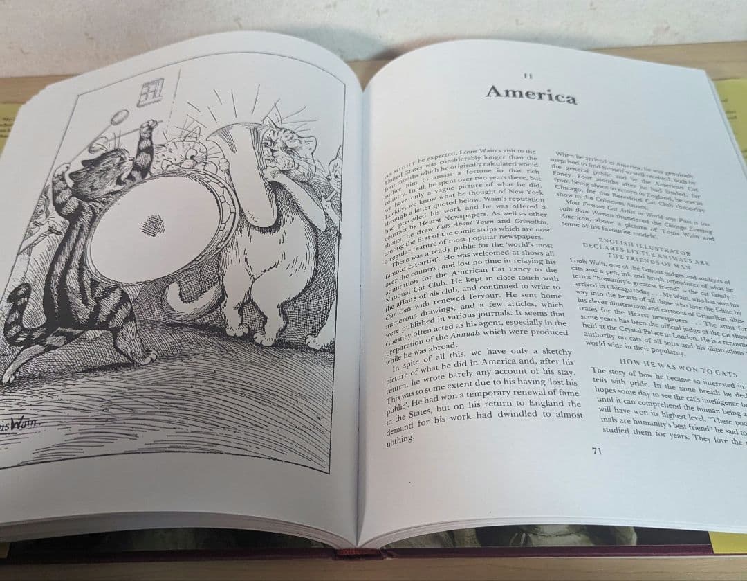 洋書 Louis Wain: The Man Who Drew Cats