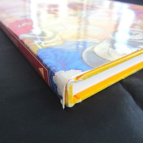 本36／洋書絵本　不思議の国のアリス