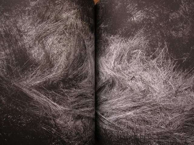 Ending Leif Sandberg : レイフ・サンドバーグ 限定455部