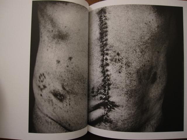 Ending Leif Sandberg : レイフ・サンドバーグ 限定455部