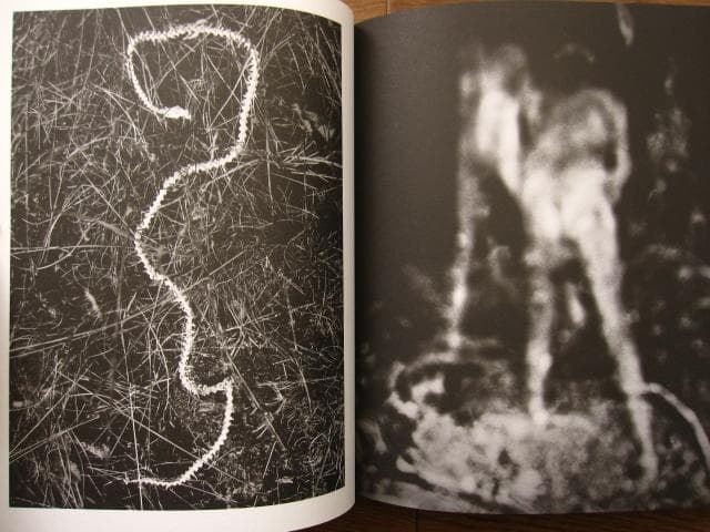 Ending Leif Sandberg : レイフ・サンドバーグ 限定455部