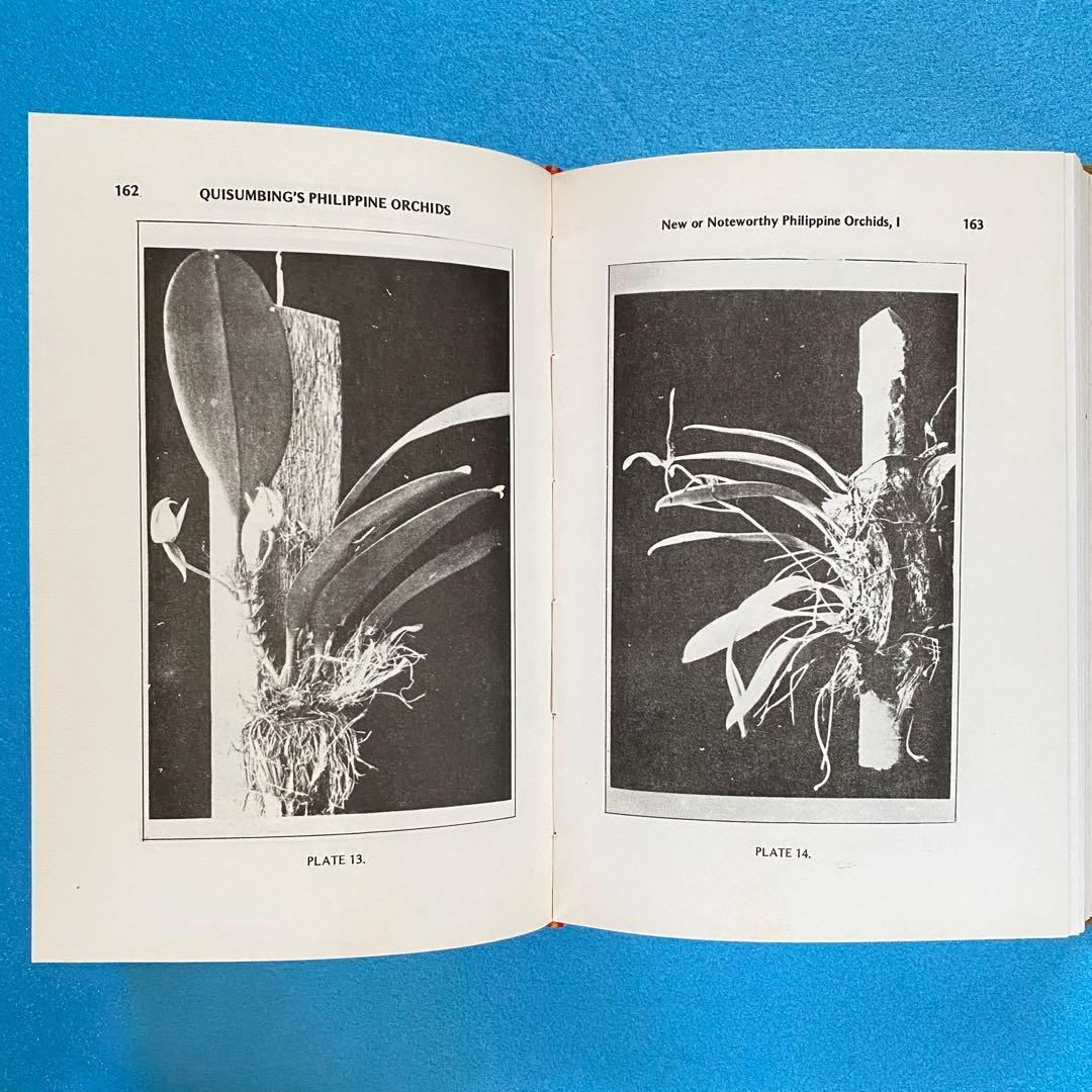 【洋書】フィリピン産ラン科植物