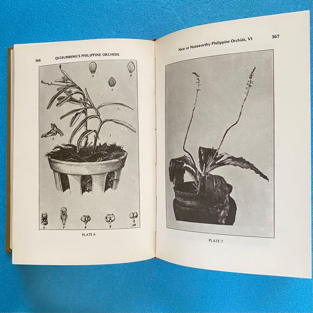 【洋書】フィリピン産ラン科植物