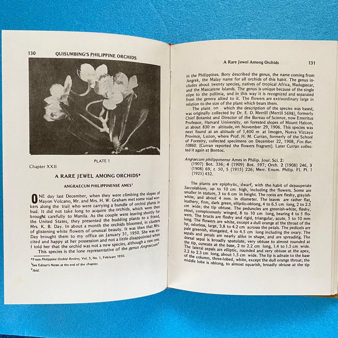 【洋書】フィリピン産ラン科植物