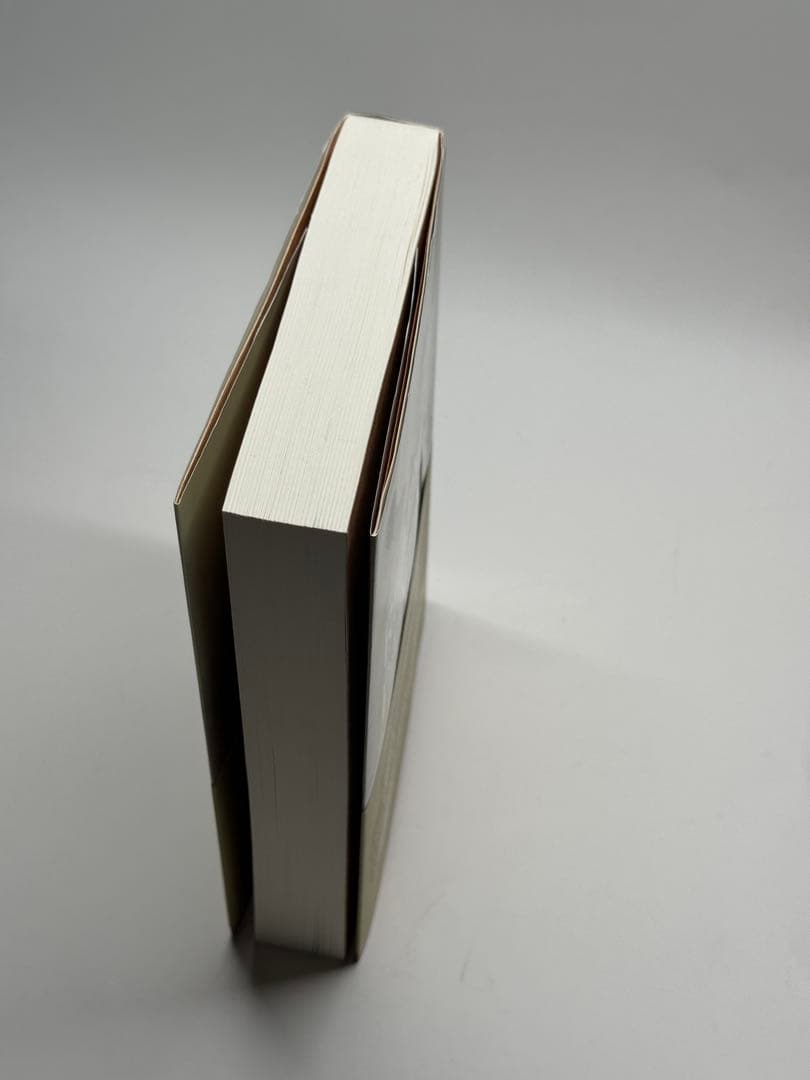 絵画の準備を！　松浦寿夫　岡崎乾二郎