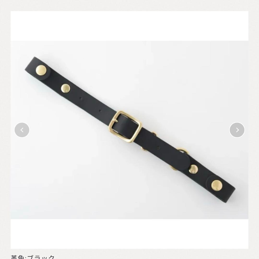 HERZ ヘルツ ベリッシモリュック チェストベルト付き