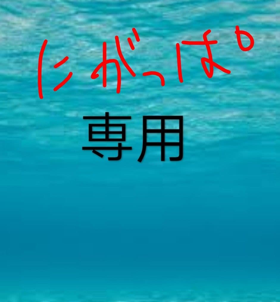 塩筋子２ｋ 切れたらこ２ｋ にがっぱ