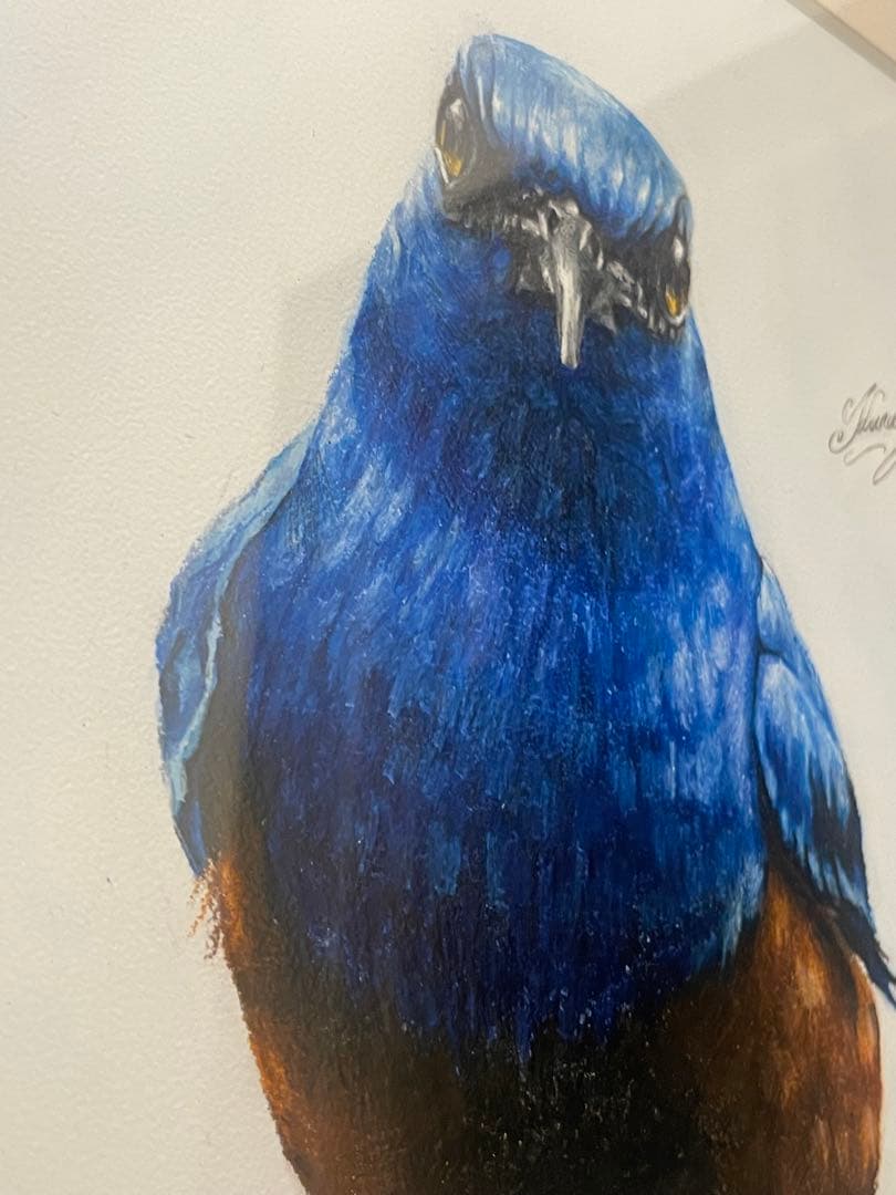 【美品】絵画　青い鳥