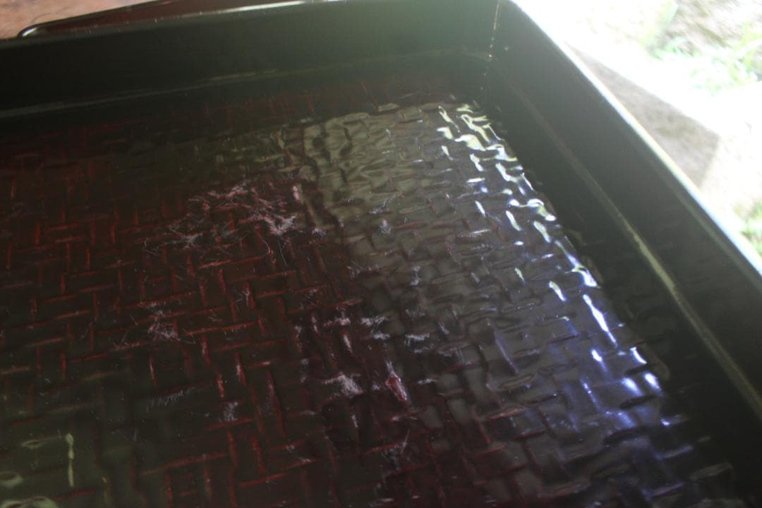 Takachiさま専用！