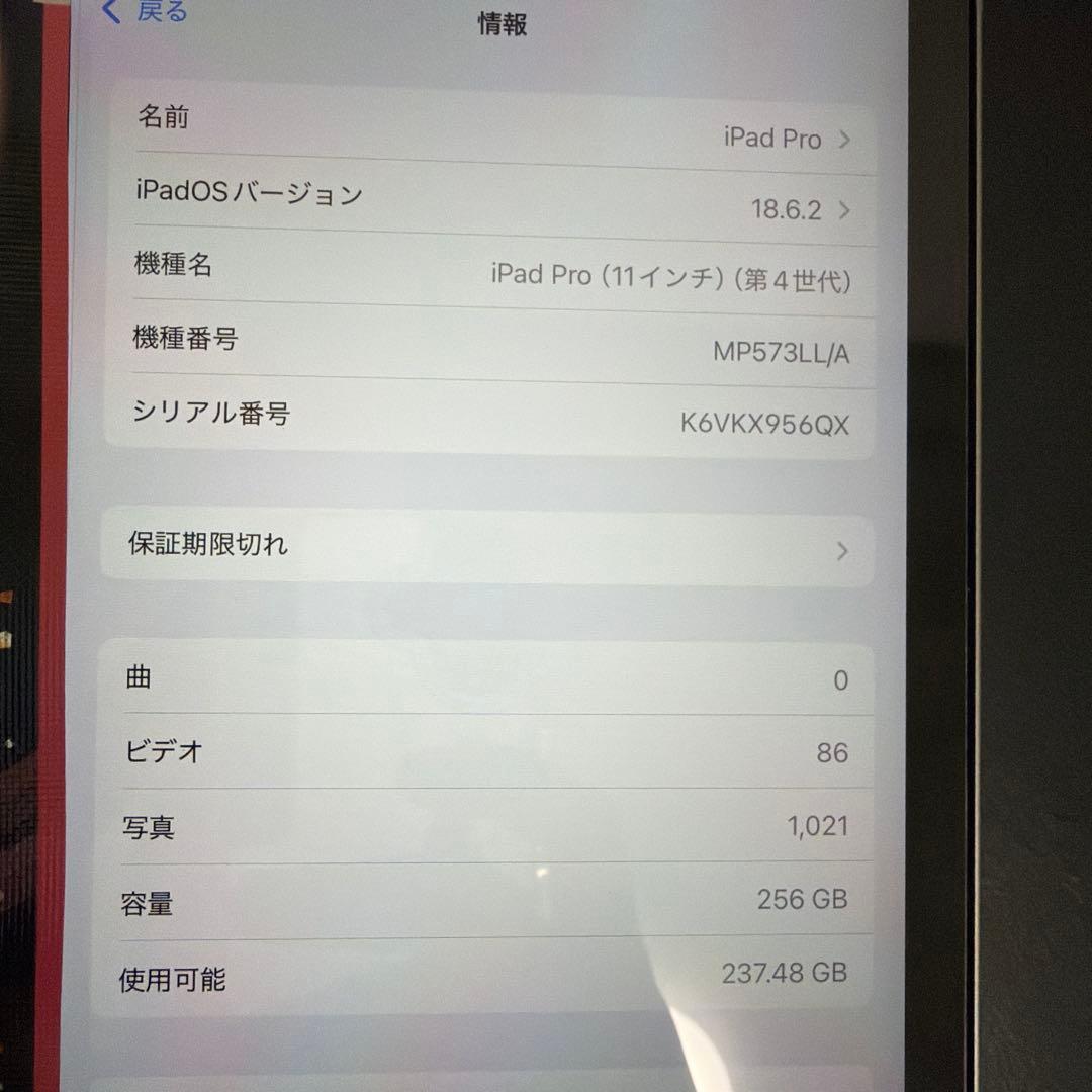 Apple iPad Pro 2022 シルバー 新品純正充電器付き