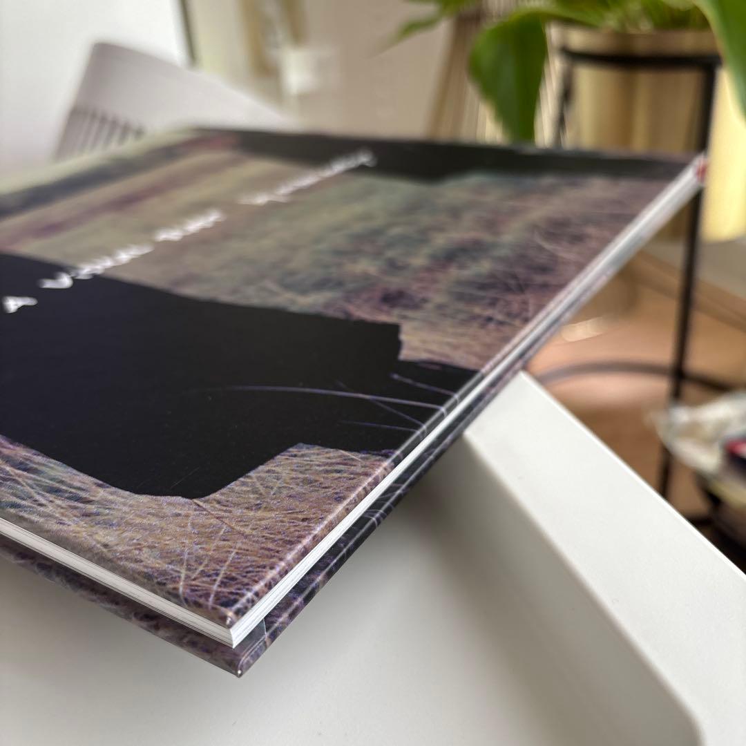 ハウ・トゥ・ディスマントル・アン・アトミック・ボム(20周年記念盤～スーパー・…