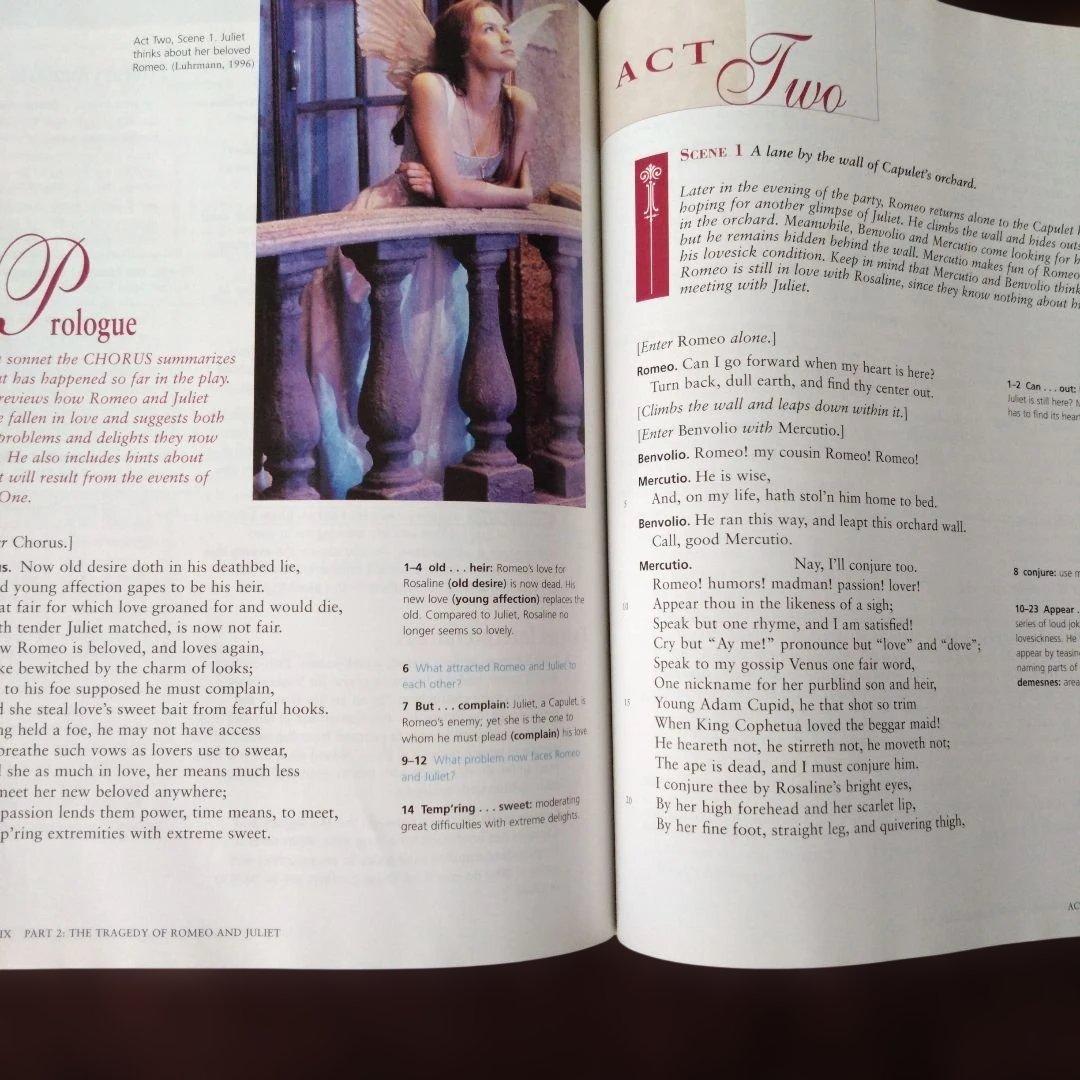 洋書 The Language of Literature