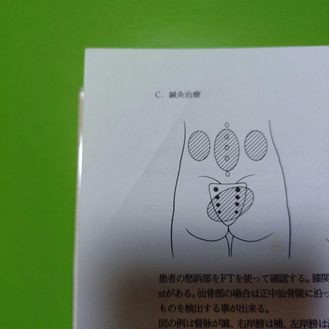 漢方治療原論　入江FTによる診断と治療