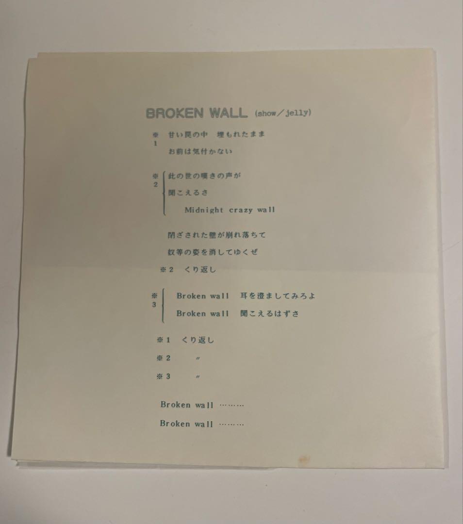 邦楽 ILLUSION - BROKEN WALL