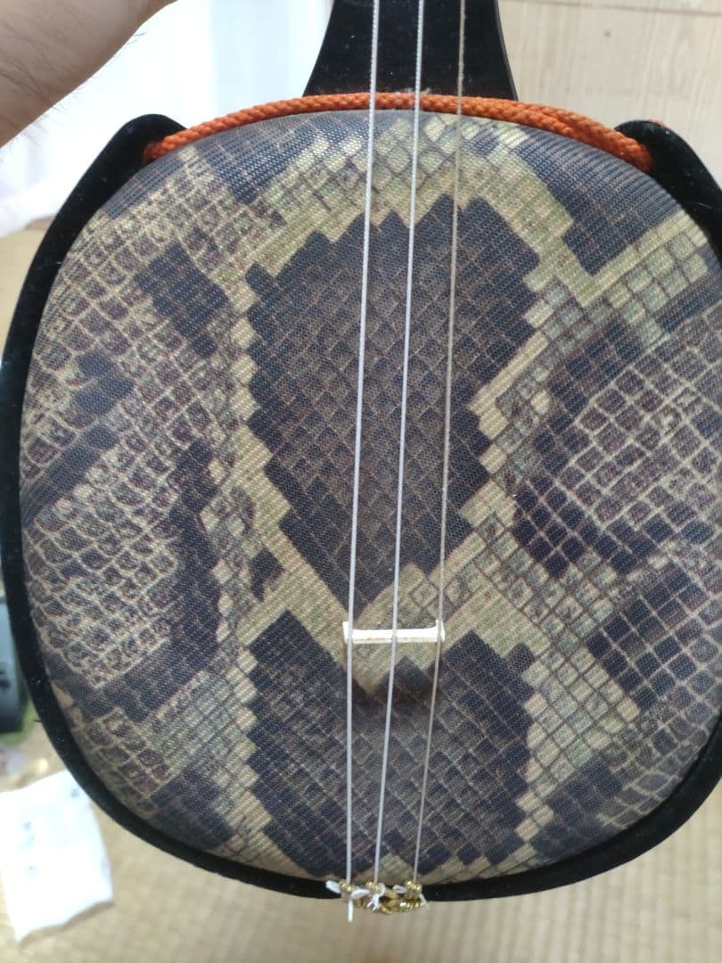 沖縄三味線本体 ヘビ皮製 3弦 蛇模様ハードケース付