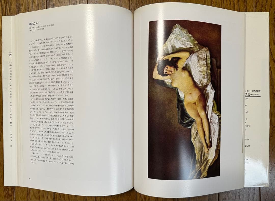 大型美術書 ゴヤ GOYA 作品集 フランシスコ・デ・ゴヤ 美術出版社