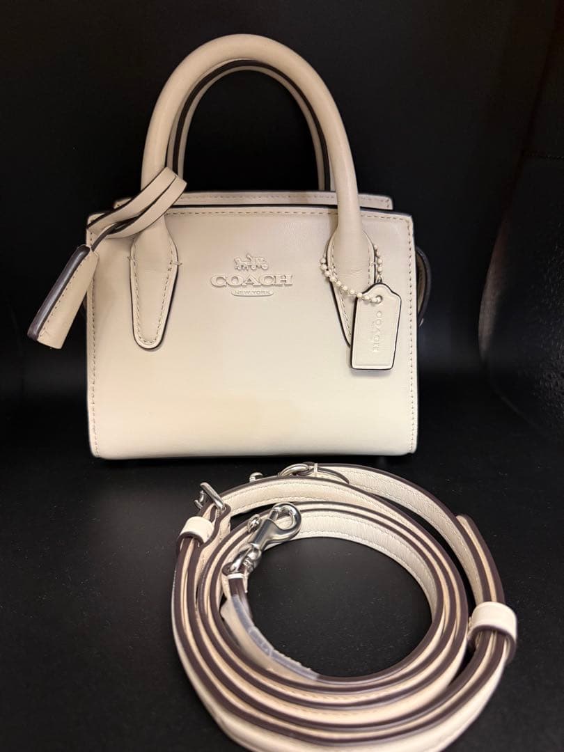 COACH アンドレア ミニ キャリーオール CO974 SV/HA ホワイト