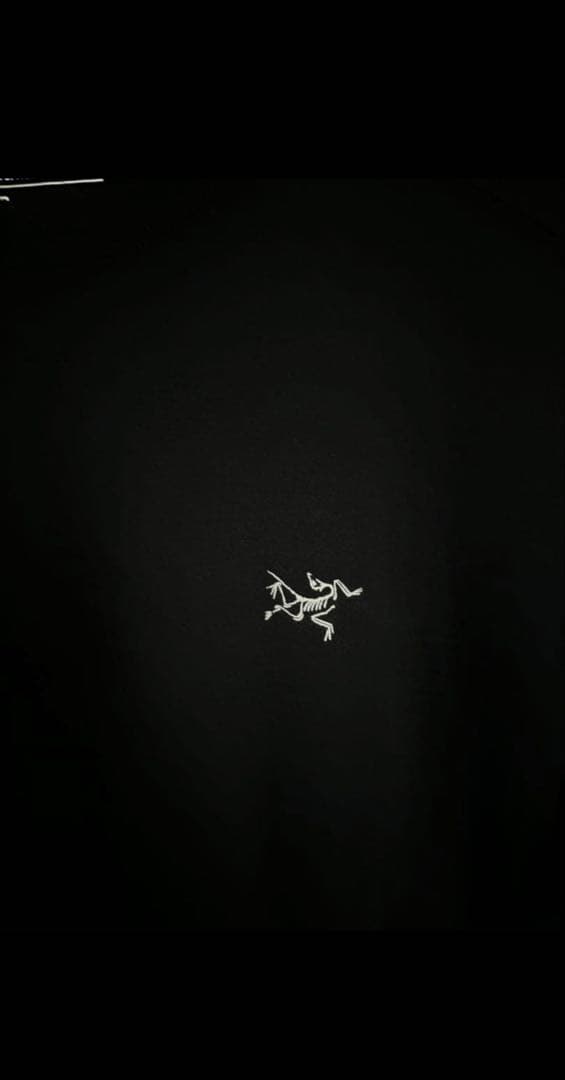 【試着のみ】ARC’TERYX イオニアメリノウールショートスリーブT