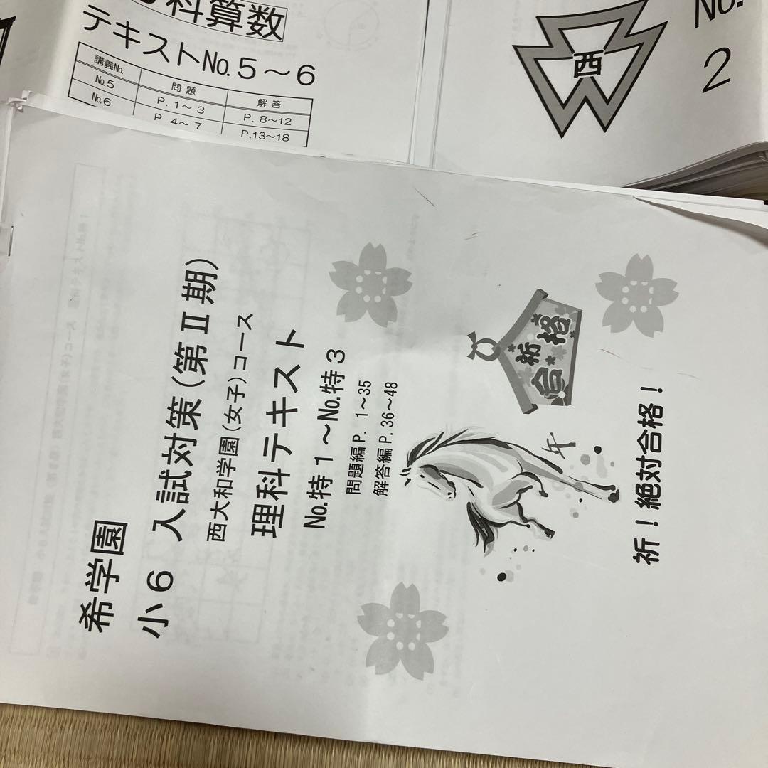 小6 洛南中 西大和中 志望校別特訓 3科目