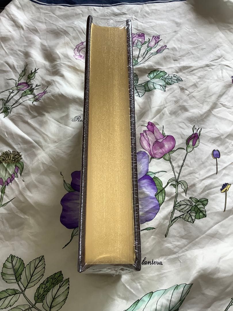 FENGさま専用 Walden Henry David Thoreau