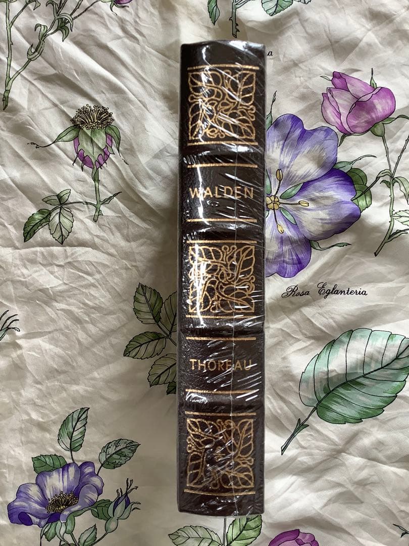 FENGさま専用 Walden Henry David Thoreau
