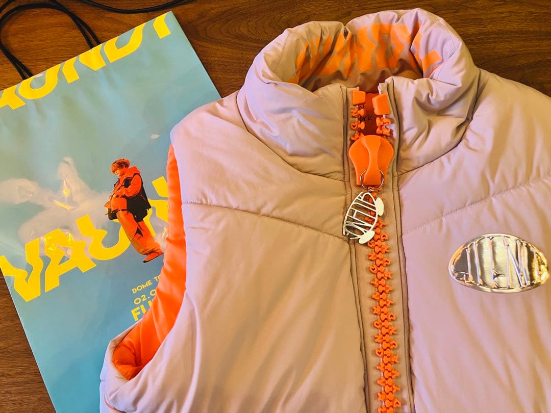 Vaundy Logo Down Vest \