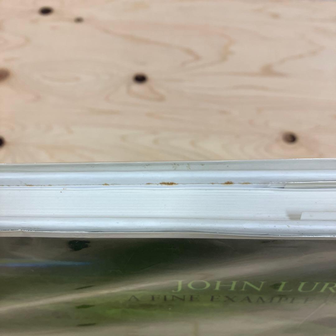 ジョン・ルーリー A Fine Example of Art