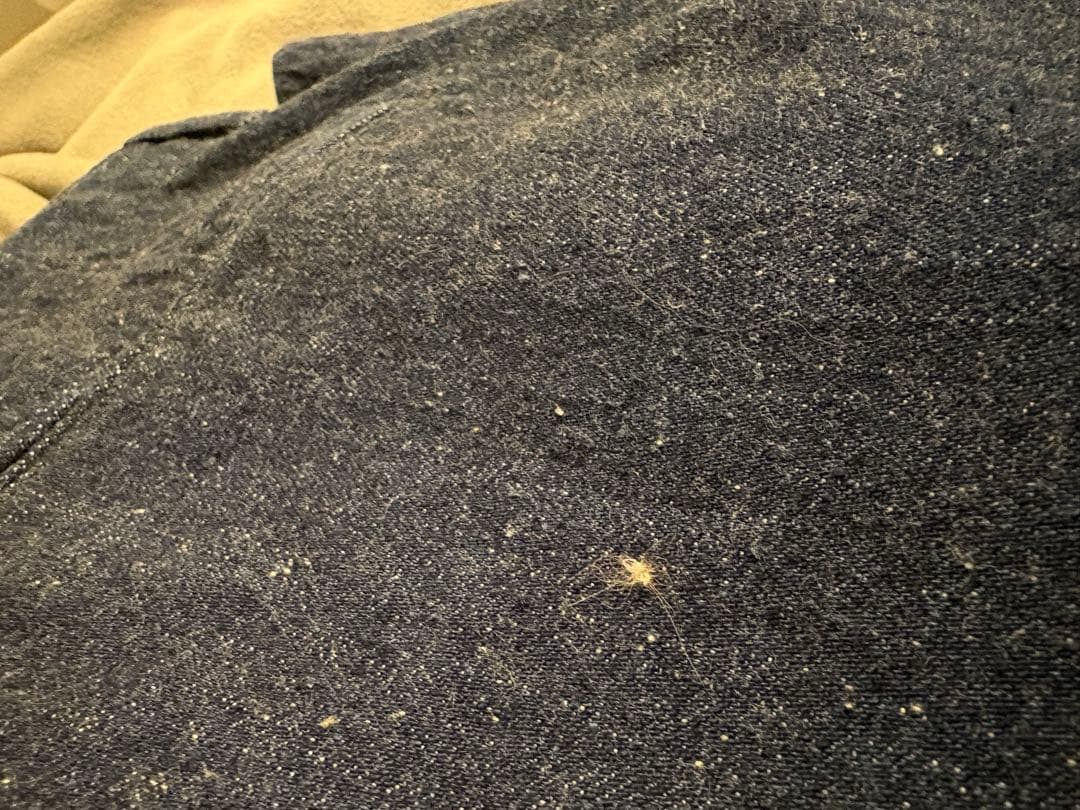 パンツ WAREHOUSE DUCK DIGGER