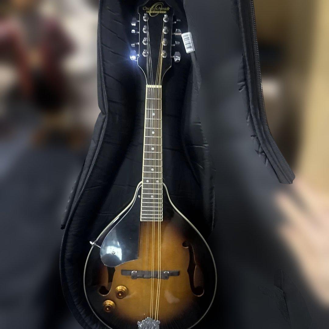 フラットマンドリン/Mandolin Lovers Club