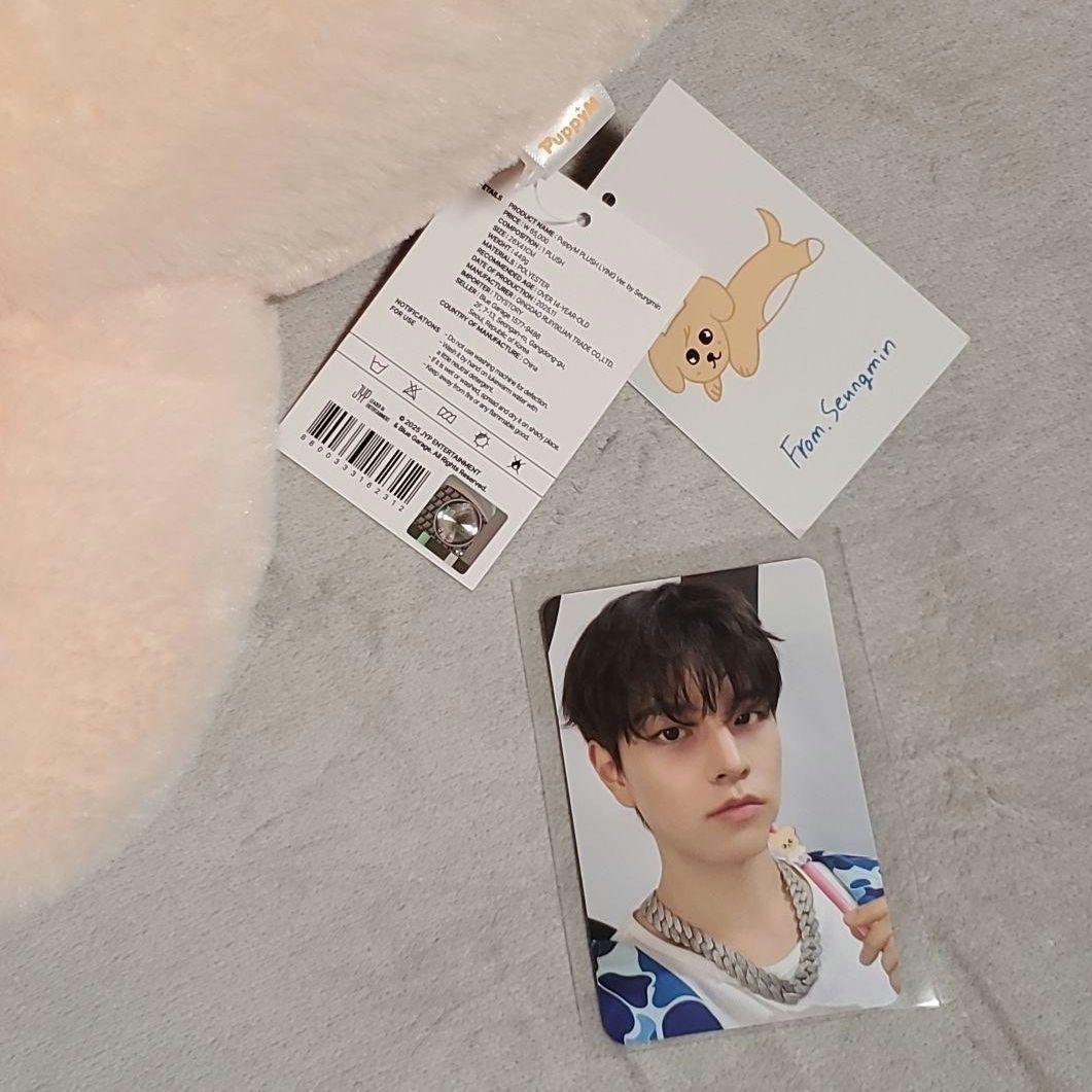 Stray Kids pop up メンプロ スンミン パピーム ぬいぐるみ