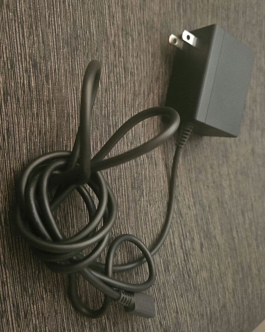 Nintendo Switch Lite コーラルピンク 本体と充電器付き